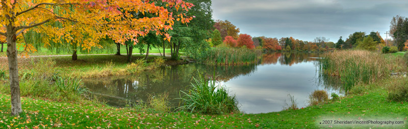 Seneca Pond - Fall by Sheridan Vincent