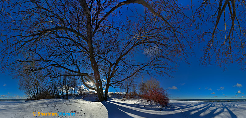 Shadows and Snow by Sheridan Vincent